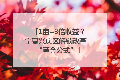1亩=3倍收益？宁夏兴庆区解锁改革“黄金公式”
